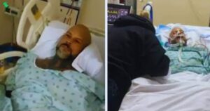 Yinyleon Cause of Death Revealed